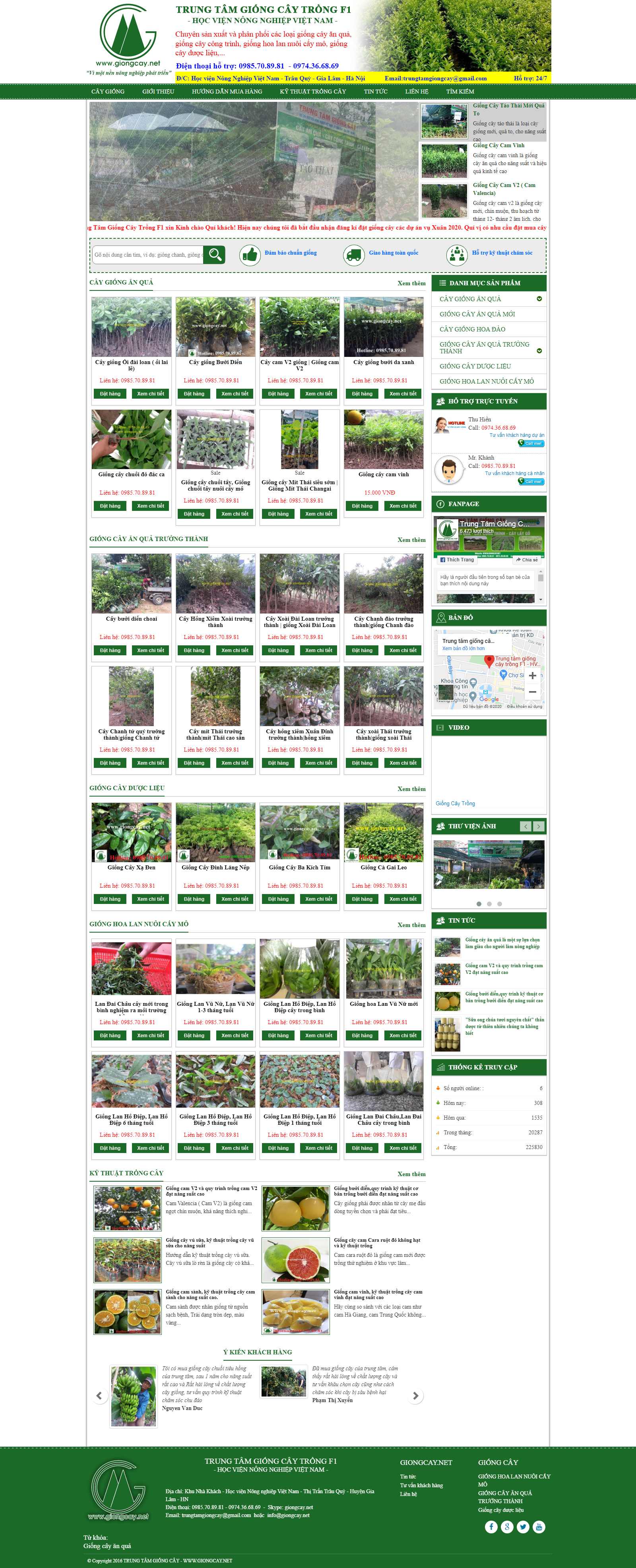 Thiết kế Website giống cây trồng - giongcay.net