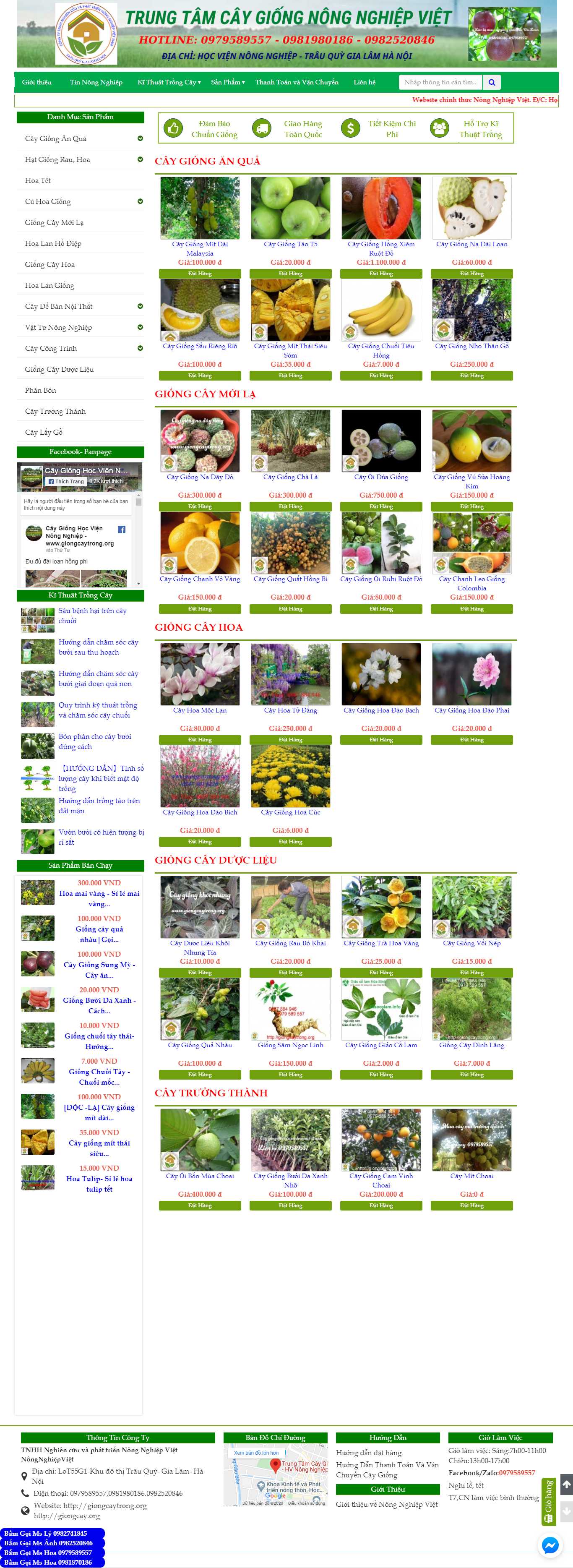 Thiết kế Website hạt giống cây trồng - giongcaytrong.org