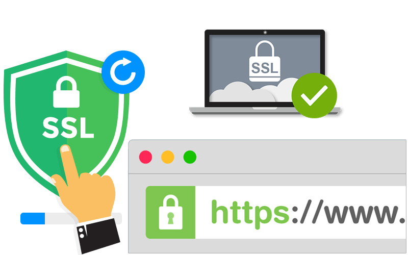 Bảo Mật SSL - Https Web